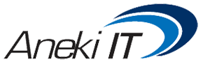 Aneki IT Services